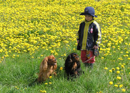 Anna-Lena und Cavaliere