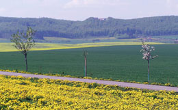 Blick auf den D&uuml;n