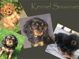 www.souvinier.dk