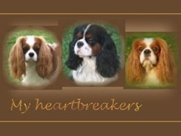 www.my-heartbreakers.de