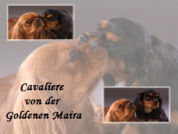 http://www.mehler-home.de/ von der goldenen Maira