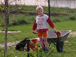 Konrad