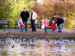 Am Schwanenteich im Kurpark Heiligenstadt