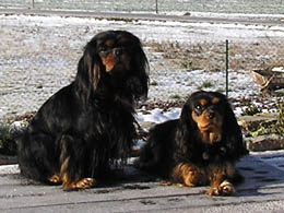 Hochzeitsfotos: Hauptmann Paul und Zoya in der Winterlandschaft