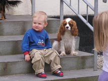 Konrad und  Hunde