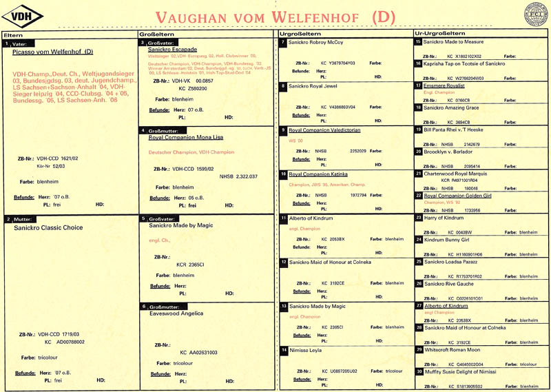Ahnentafel Vaughan